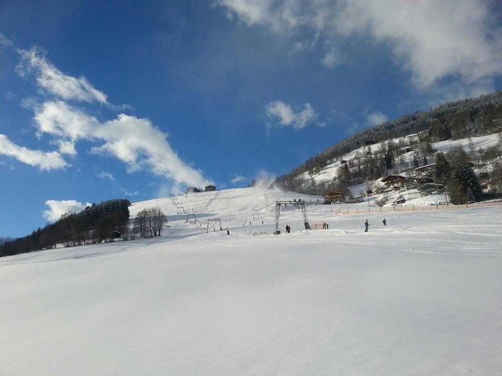 Apartment Lochner Piesendorf-Walchen 外观 照片