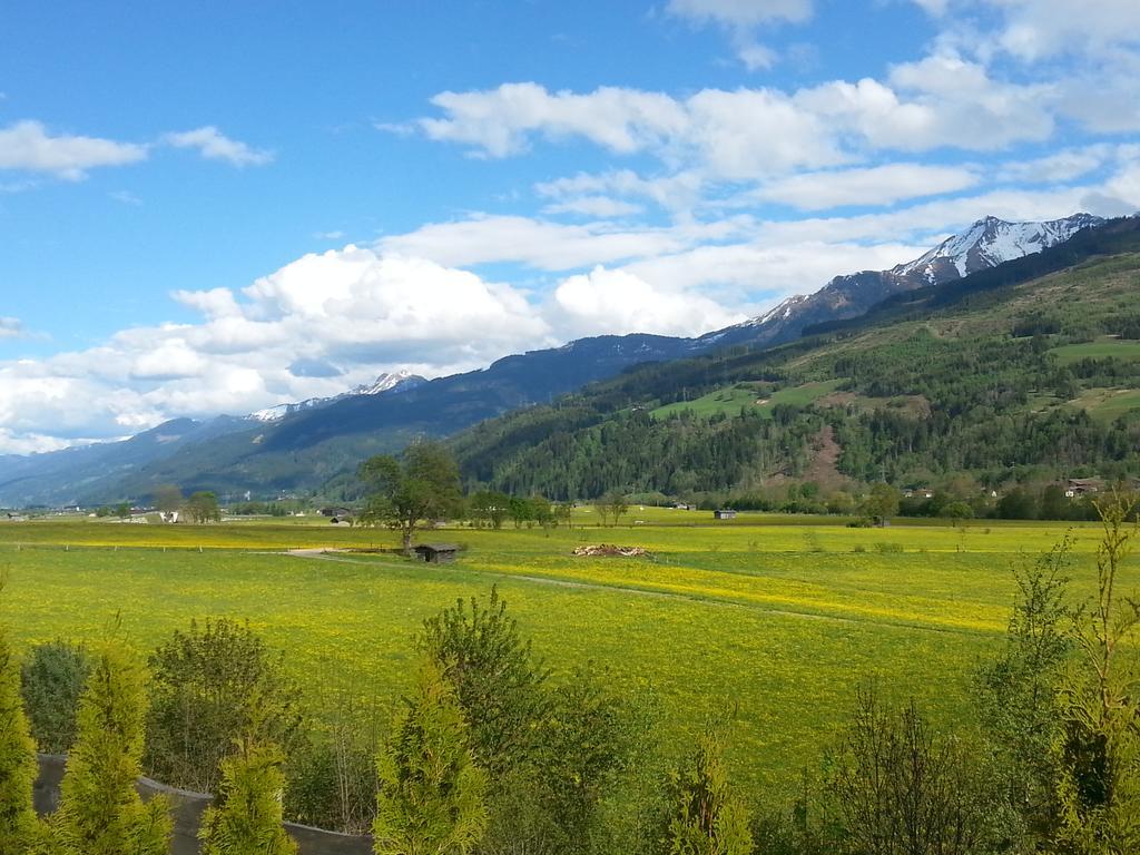 Apartment Lochner Piesendorf-Walchen 外观 照片
